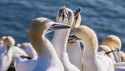 九游jiuyou-高校篮球推广体能恢复课程延长运动员竞技寿命，高校篮球现状