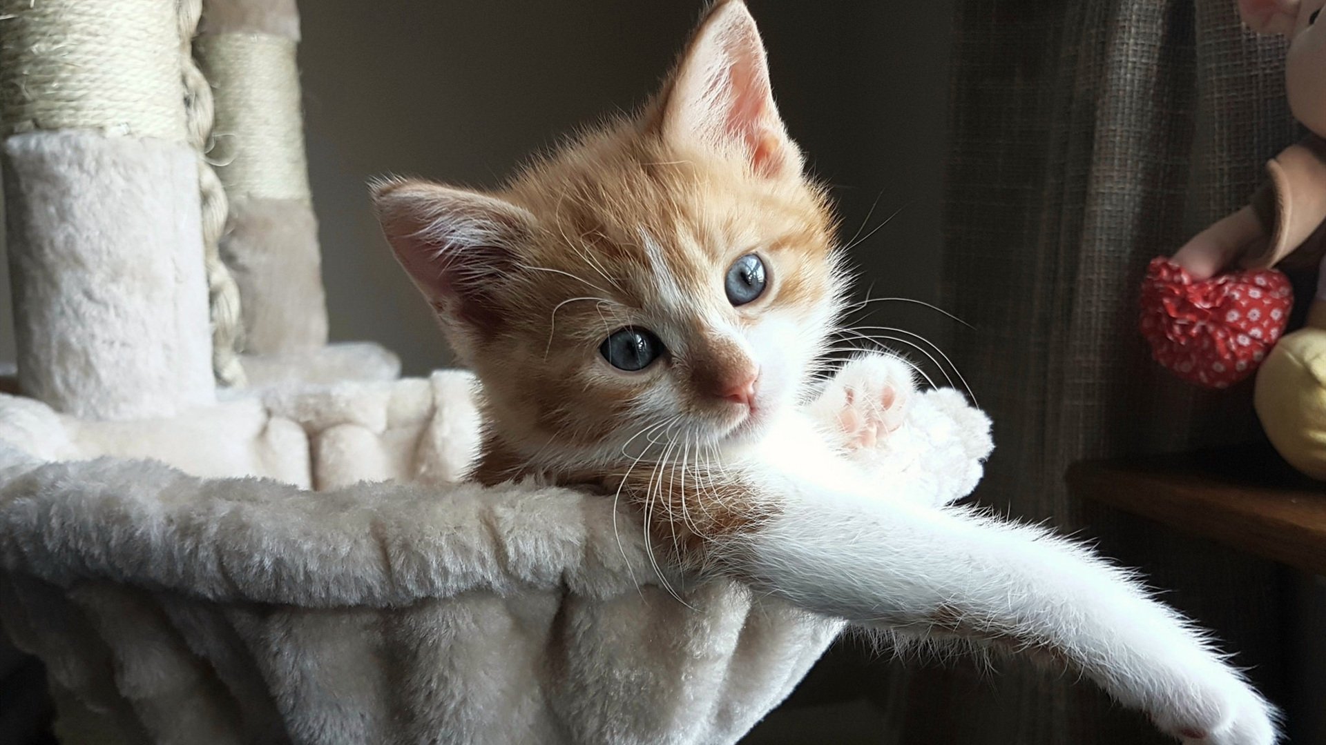 “青春逐梦”青少年篮球明星培训计划在深圳如火如荼,打造未来领军人才