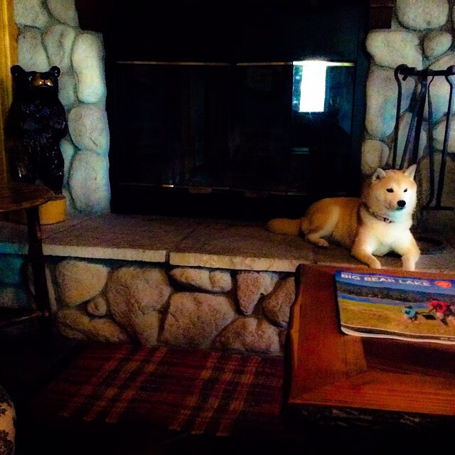 “足球场馆智能化改造提升比赛体验与安全保障”,足球场馆运营方案