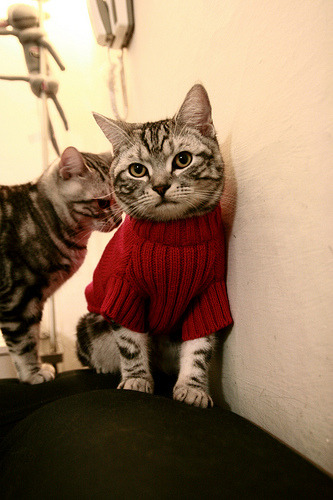 《全球电竞大赛门票销售火爆，票价创新高》，全球电竞联赛线下总决赛