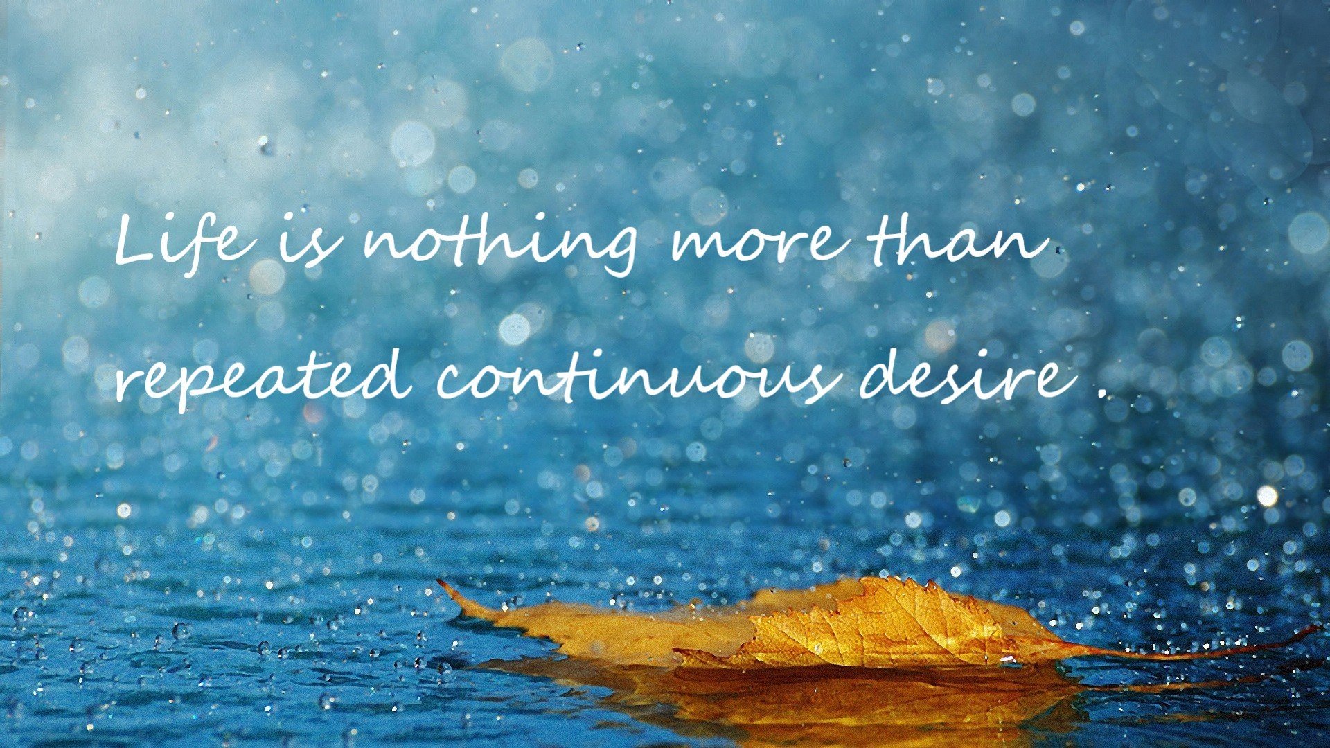 《揭秘2025全国英雄联盟职业联赛背后的故事》,二零二零年英雄联盟