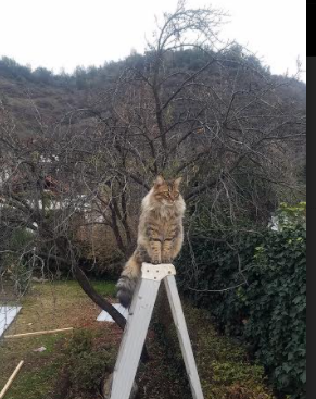 大逆转戏码:从落后到逆转的奇迹现场大盘点,游戏大逆转