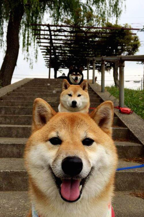 九游app下载中心-游戏音乐的艺术：旋律与情感的表达，游戏音乐的作用