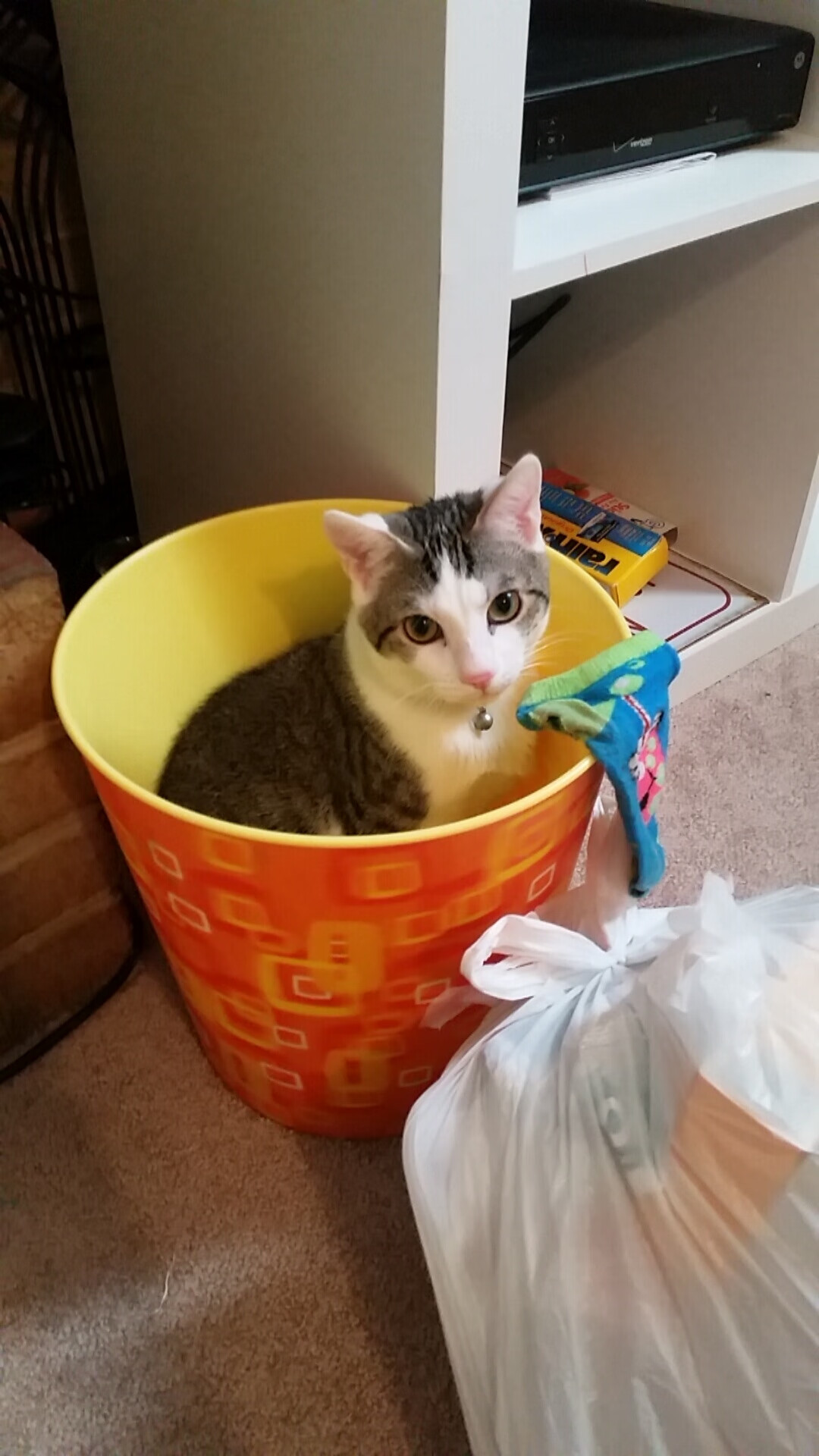 九游登录入口-羽毛球国际公开赛决赛，国羽选手技压群雄夺冠，羽毛球国际大赛