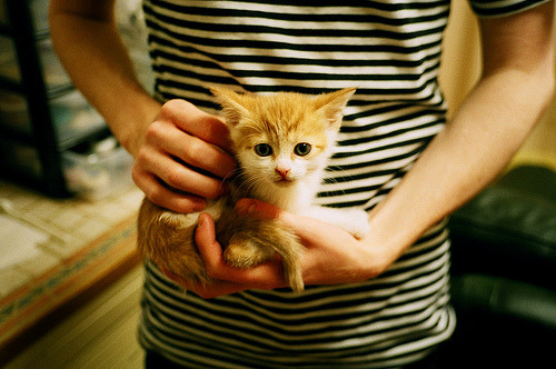 九游sports-墨尔本联战术配合日趋成熟，墨尔本足球比赛直播