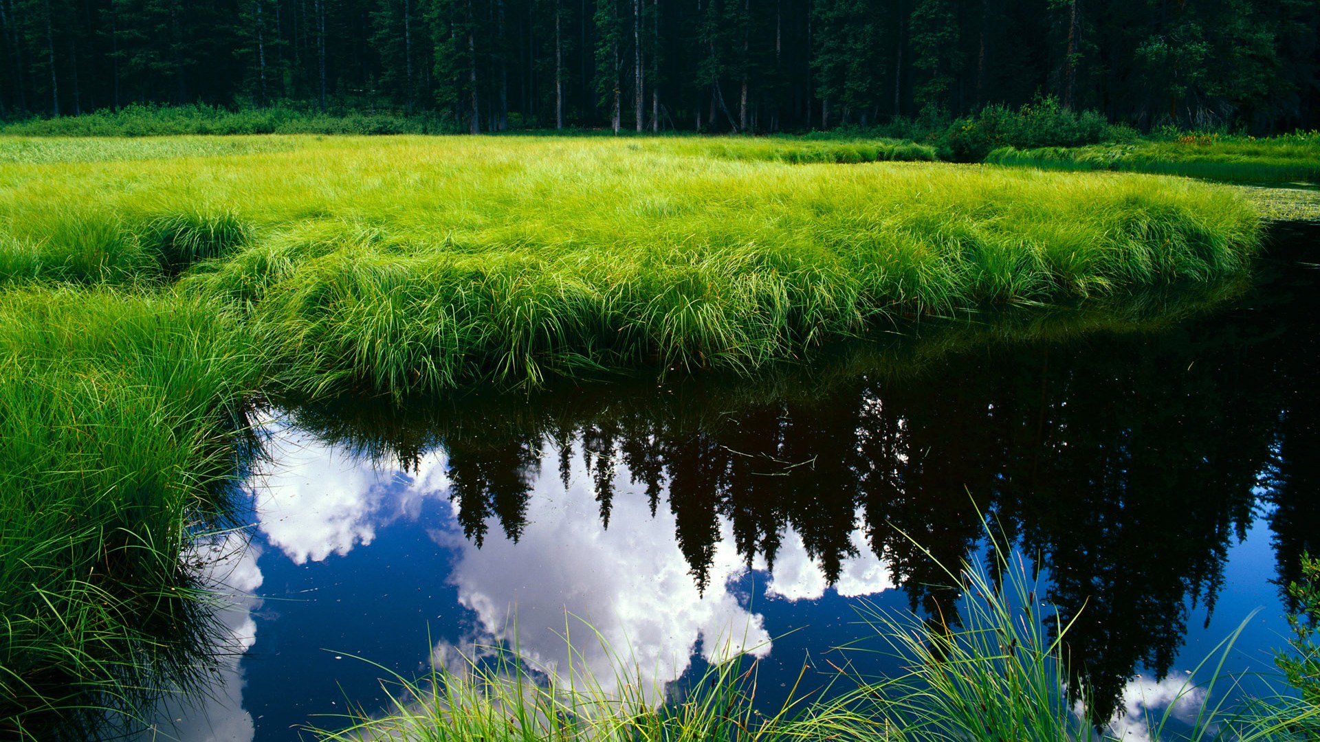 意大利国家队实力强劲，欧国联对手难以抵挡，意大利 欧国联