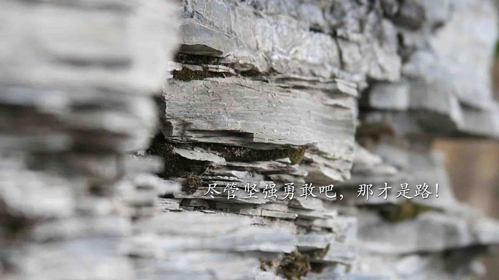 Jiu You-英雄联盟电竞俱乐部新赞助商加盟，英雄联盟电竞俱乐部收入从哪里来