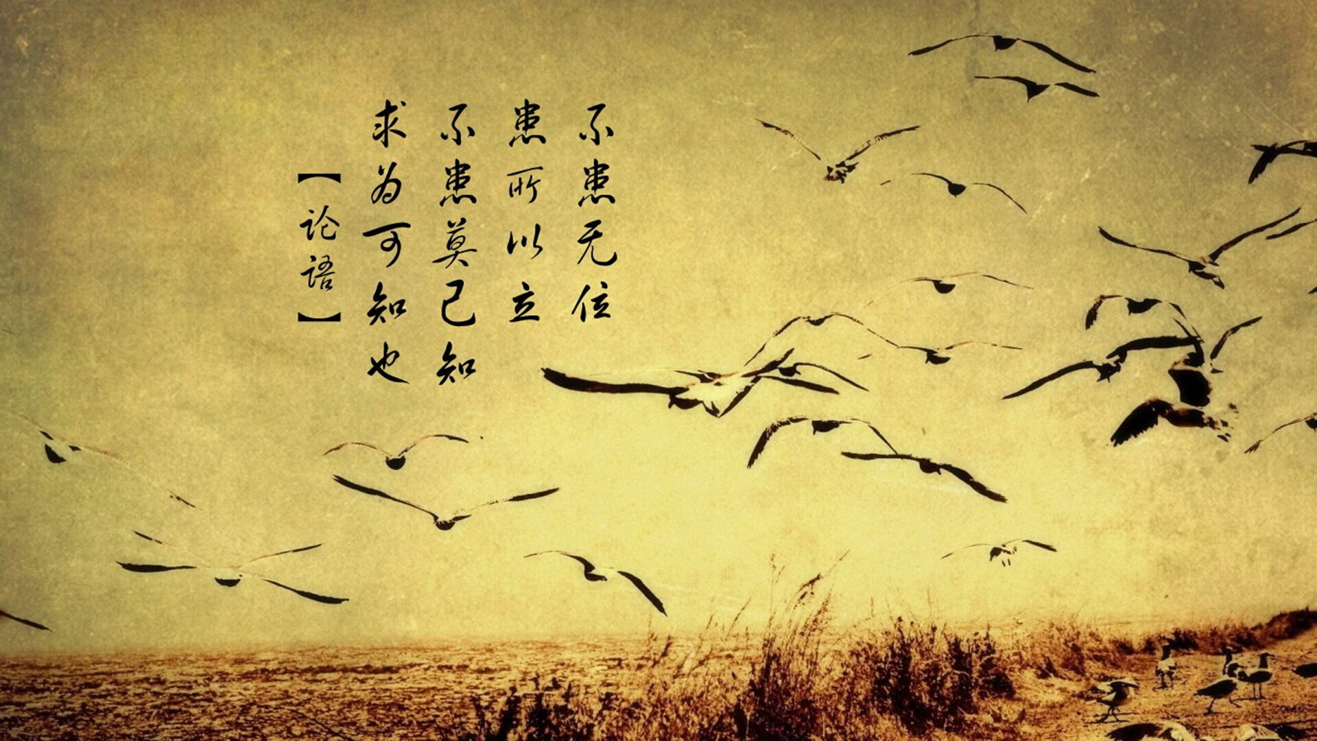 九游jiuyou-葡萄牙体育青训营培养新星，葡萄牙青训体系