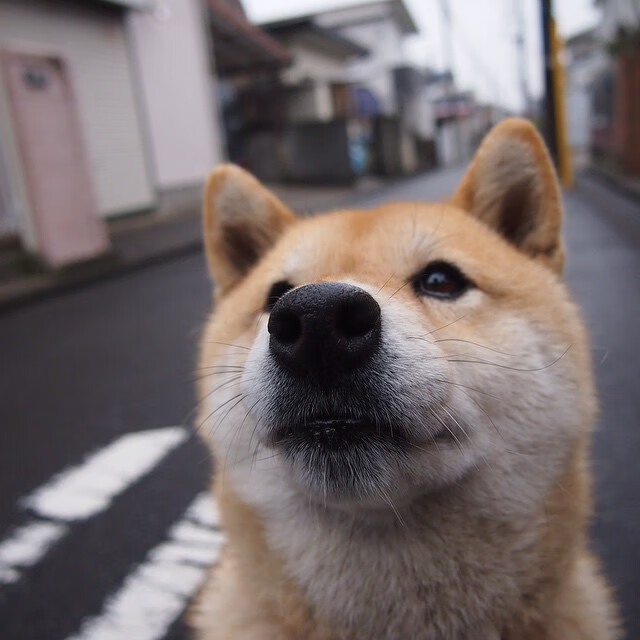 阿森纳客场战胜对手,继续向欧战资格靠拢,阿森纳厂