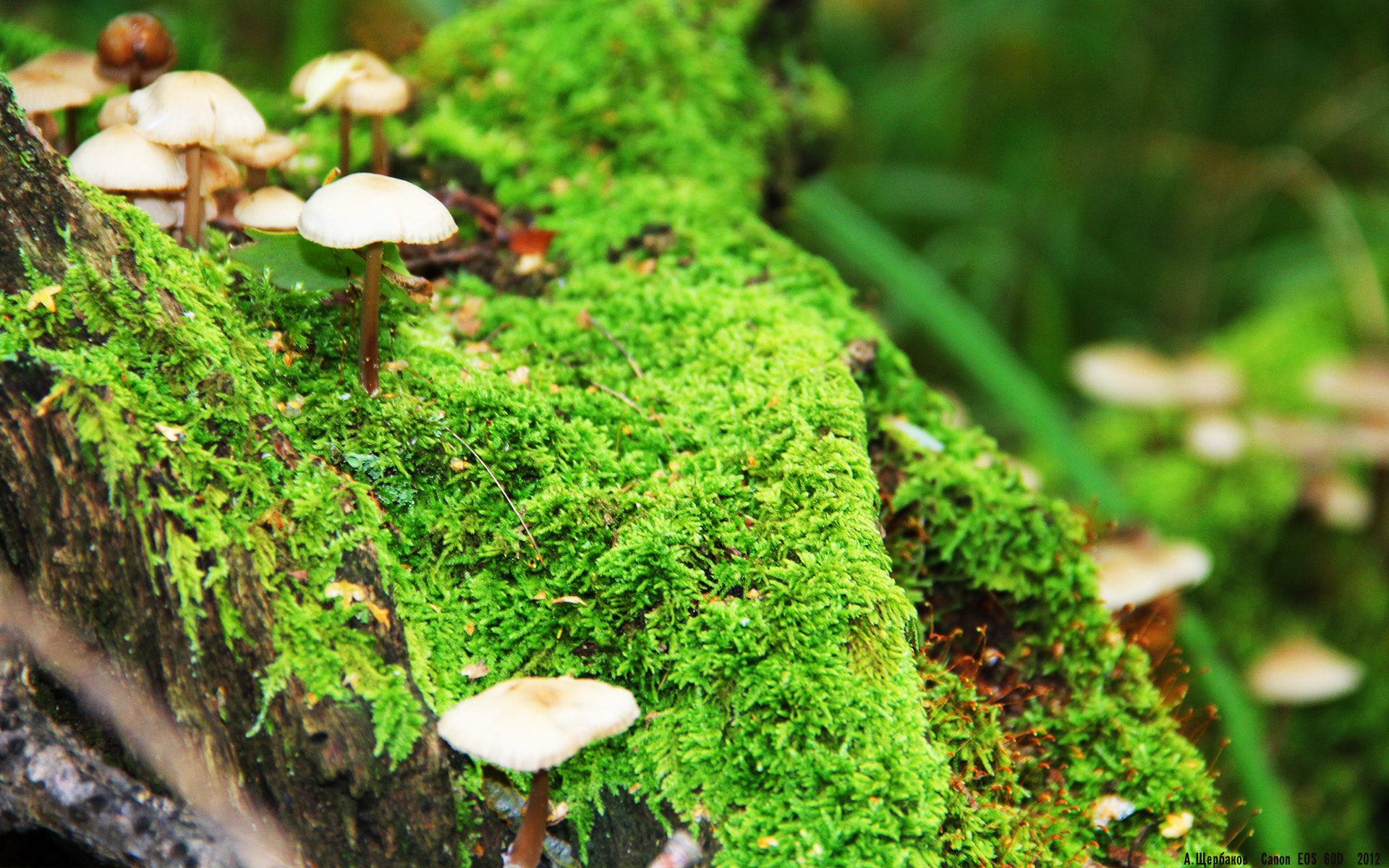 运动员技能提升训练计划,运动员技能提升训练计划表