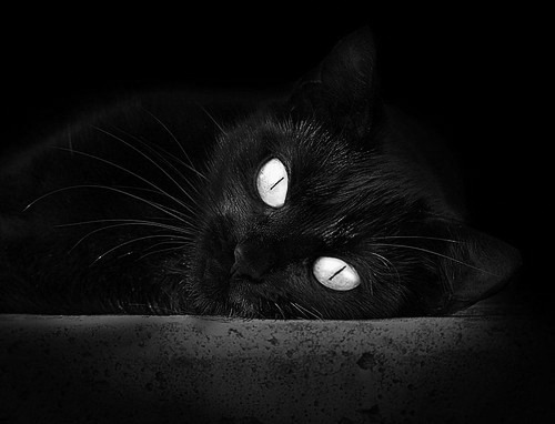 凯尔特人队员轮休制度引发战术讨论,凯尔特人首轮