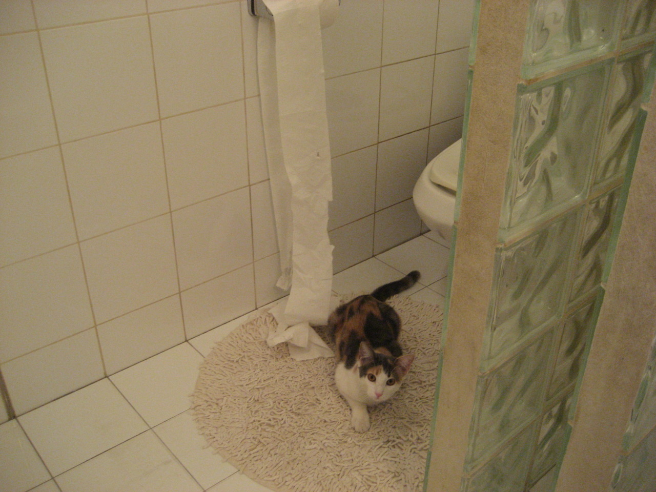 法国队接力赛场风采尽显冠军潜质,法国队集锦