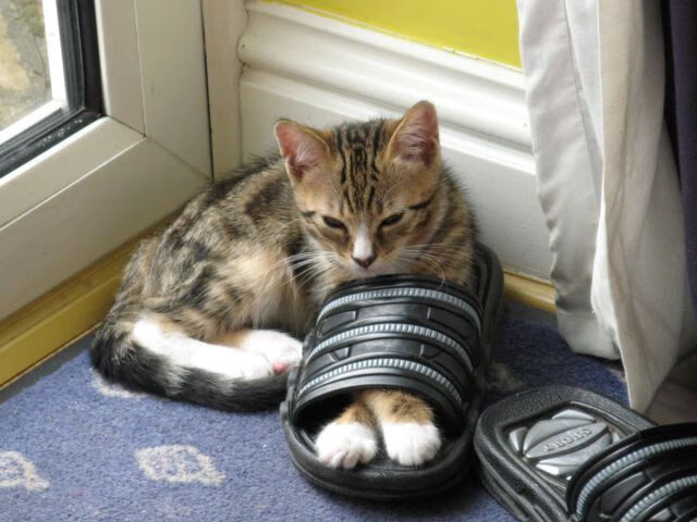 篮网宣布更换首发阵容调整进攻重心,篮网 进攻