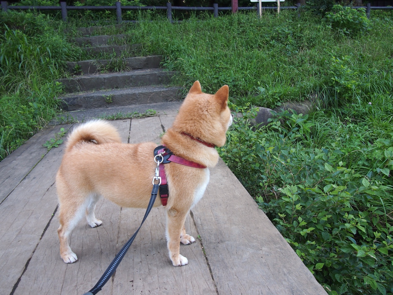 训练基地全面升级新增多个功能区域提升球员恢复效率,训练基地怎么打